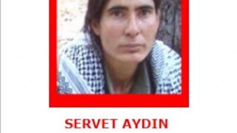 Gara'da öldürülen teröristler kırmızı kategoride çıktı