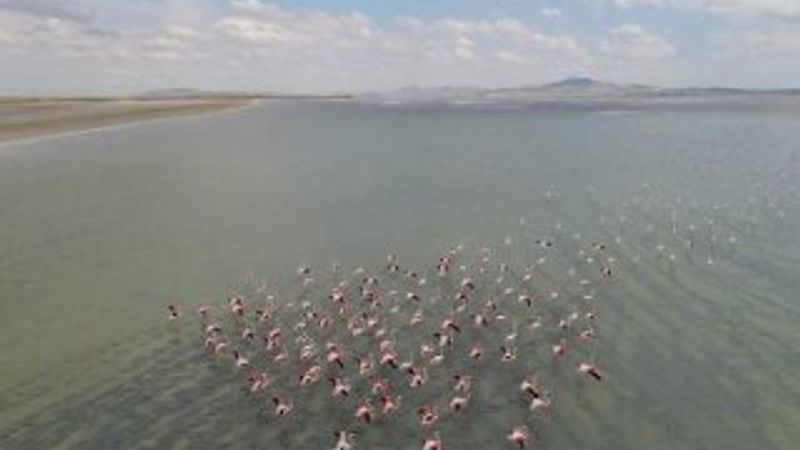 Seyfe Gölü kuraklıkla mücadele ediyor