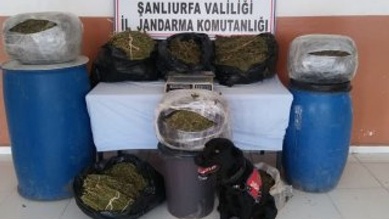 Şanlıurfa'da 105 kilo 500 gram esrar ele geçirildi