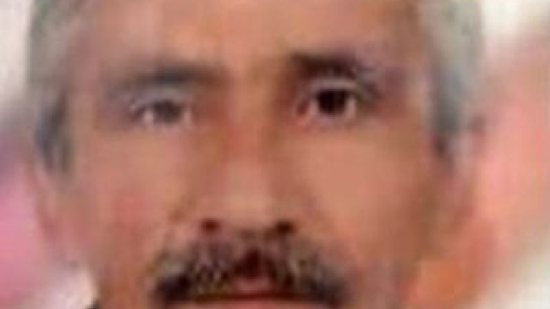 Bursa'da kestiği ağacın altında kaldı