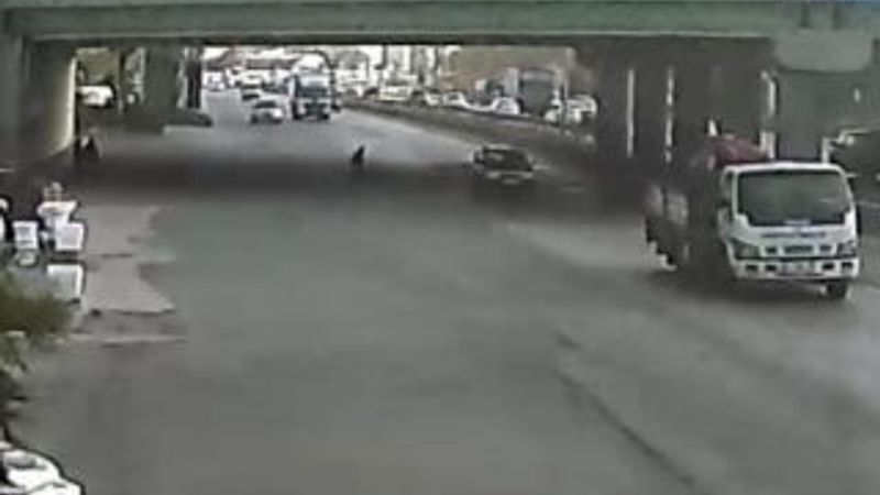 Yaya geçidini kullanmayan yaşlı adama otomobil çarptı