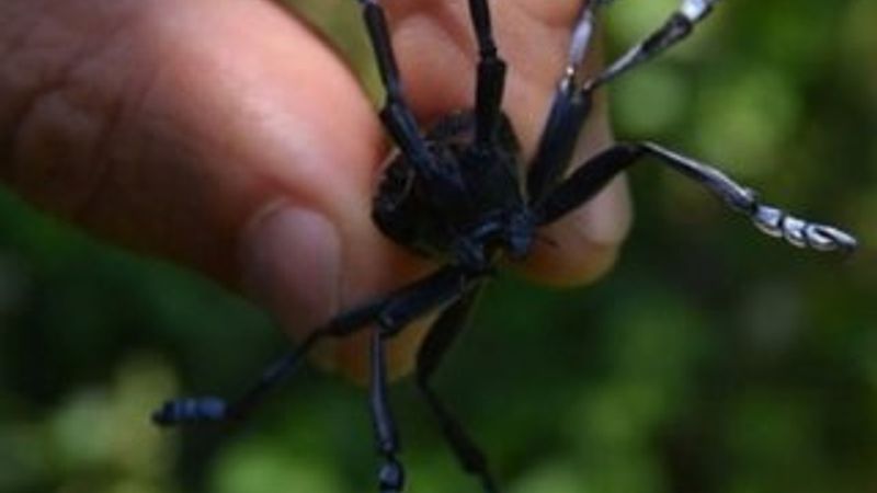 Kilogram başına 15 TL tazminat ödenecek