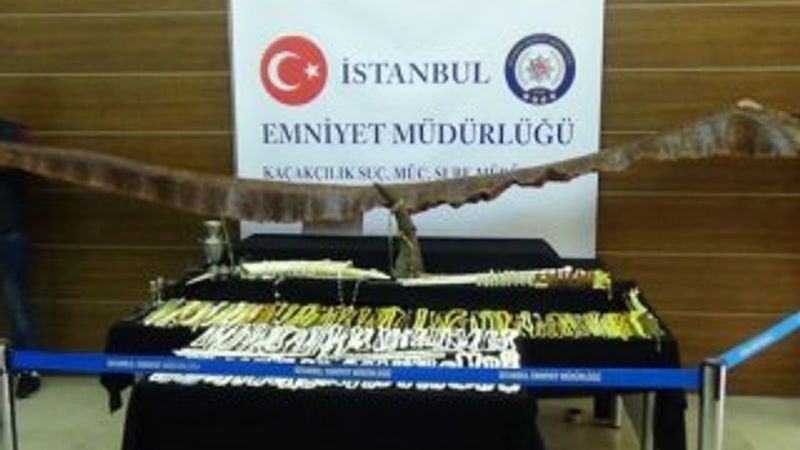 İstanbul'da 1.5 milyonluk 'fil dişi' operasyonu