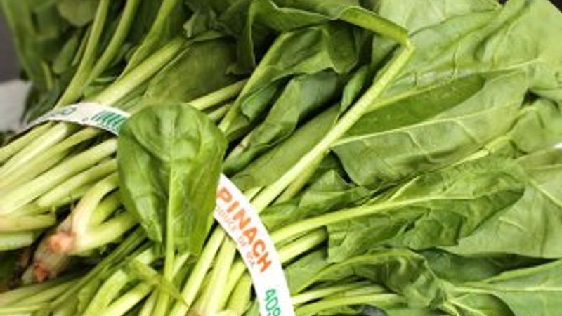 İstanbul'da ıspanaktan zehirlenenlerin sayısı artıyor