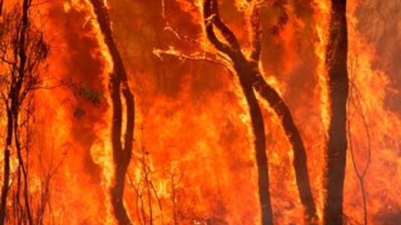 NASA, Kaliforniya yangınlarını uzaydan görüntüledi