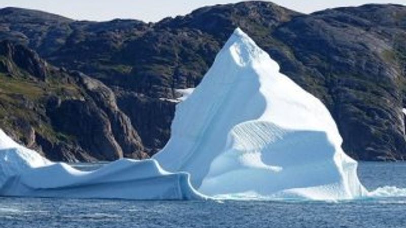 11 bin bilim insanı uyarıyor: Küresel felaket yakın