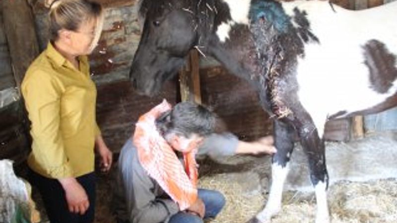 İzmir'de ata silahlı saldırı