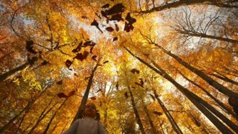 Bolu ve Düzce'den tadına doyulmaz sonbahar manzaraları