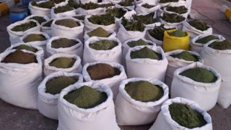 Kıran-5 Operasyonu'nda 1 ton 615 kilo esrar ele geçirildi