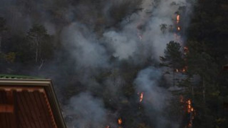 Bartın'da orman yangını