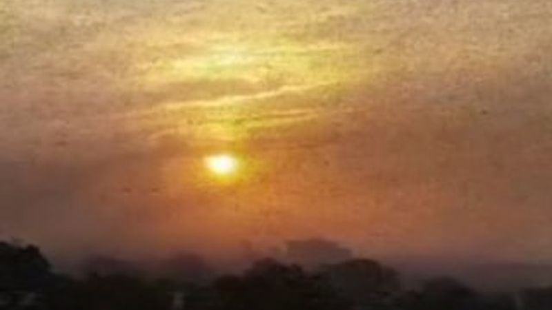 Çekirgeler Pakistan'ı istila etti