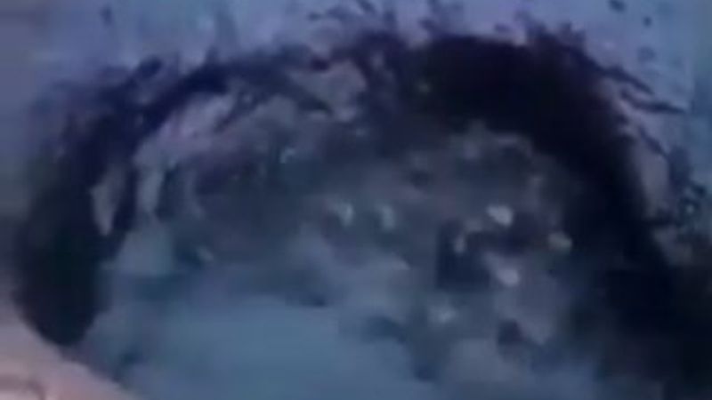 Suriye topraklarından petrol fışkırıyor