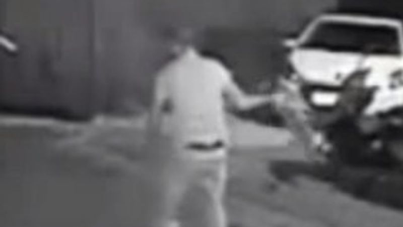 Kediyi yere vurarak öldüren cani 4 ay yatacak