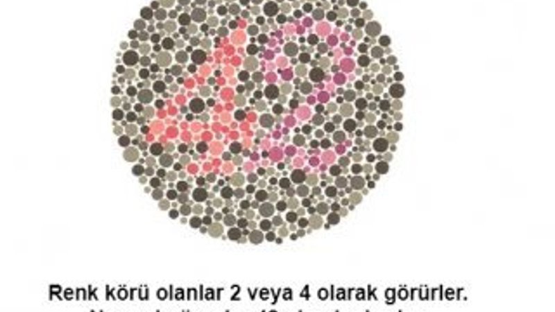 Renk körü olanların polis olamayacağı kesinleşti