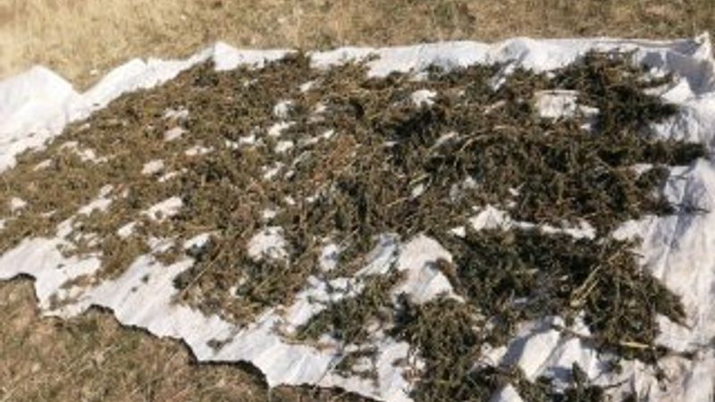 Diyarbakır Lice'de 5 ton esrar yakalandı