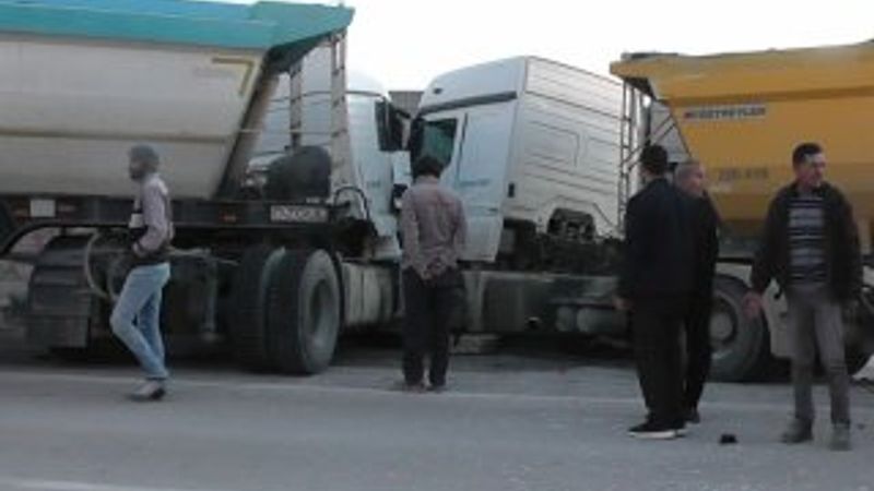 Kediyi ezmek istemeyen tır sürücüsü, tırla çarpıştı