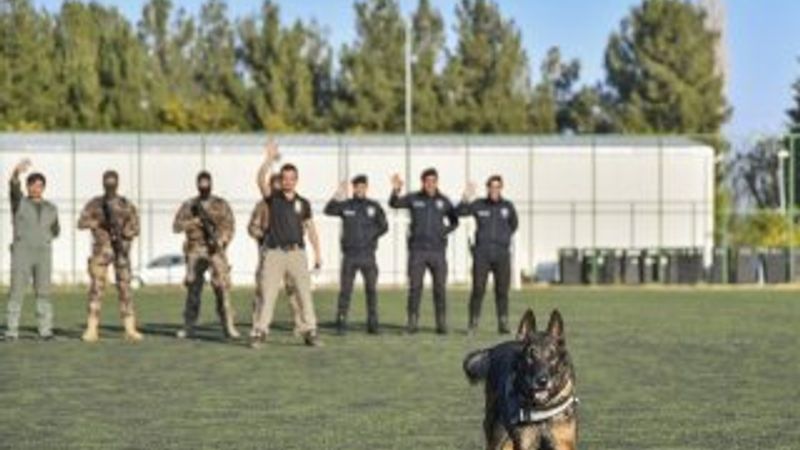 Emniyet müdürlüğünden dedektör köpeğe emeklilik partisi