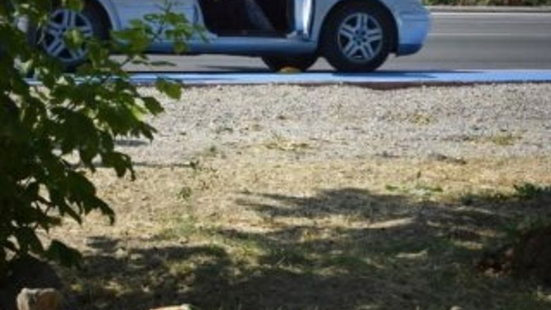 Sevgilisini kavun bıçağıyla öldüren muhtarın cezası 15 yıla indirildi