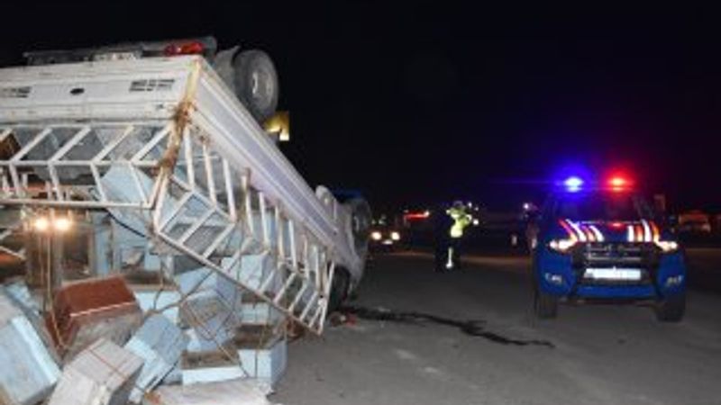 Şanlıurfa'da arı kovanları taşıyan kamyonet tırla çarpıştı