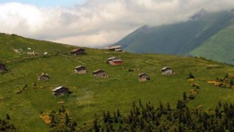 Barma Yaylası Turbalığı koruma altına alındı