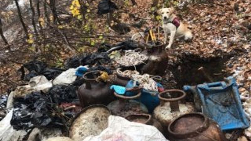 Bitlis'te 300 kilo EYP imha edildi