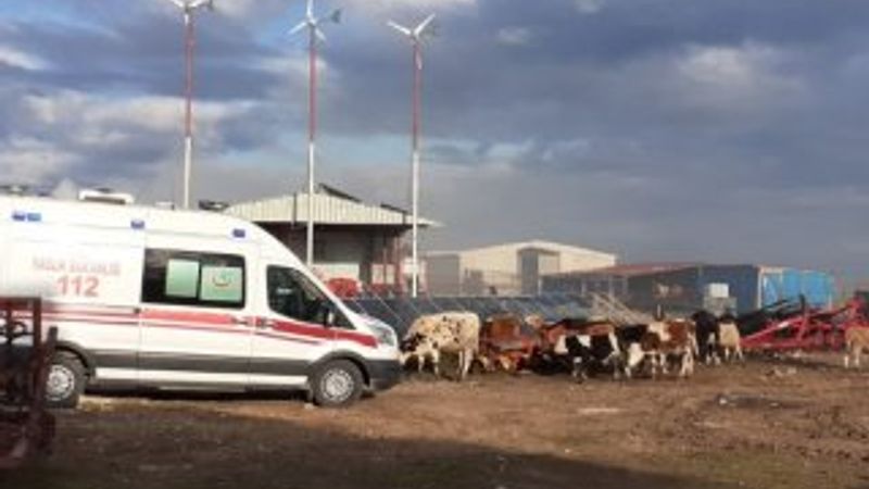 Tekirdağ'da çiftlikte yangın çıktı