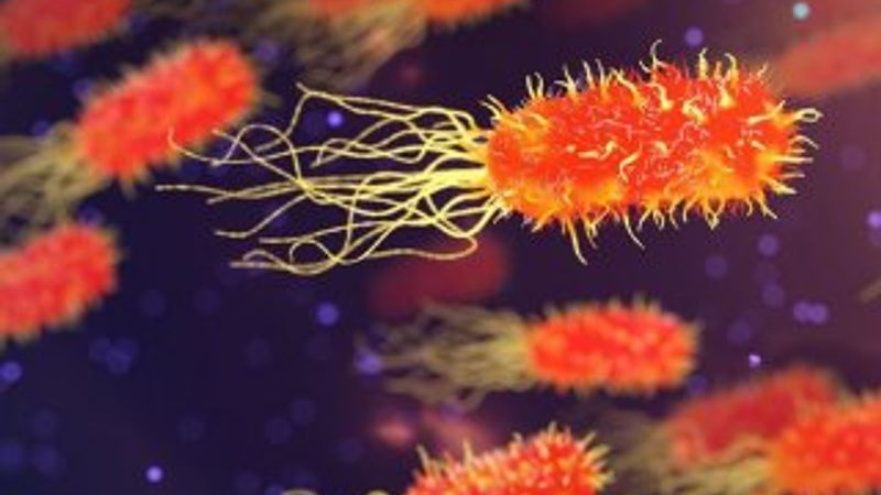 Bilim insanları, karbondioksit tüketen bakteri türü geliştirdi