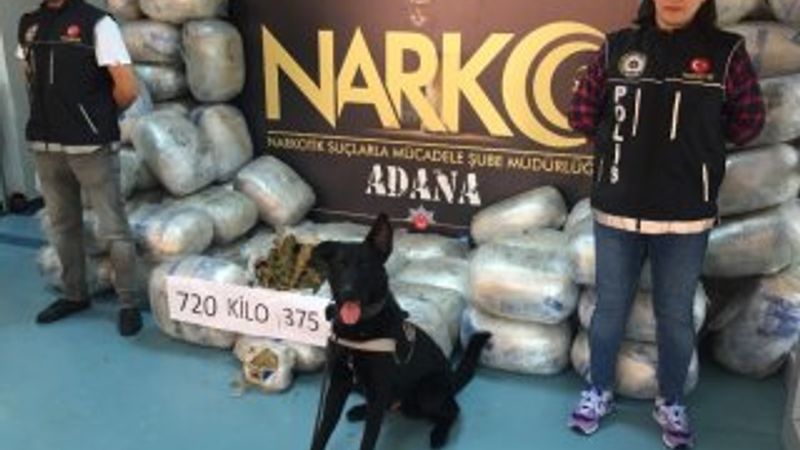 Narkotik köpeği 'Tunga' 721 kilo esrar buldu