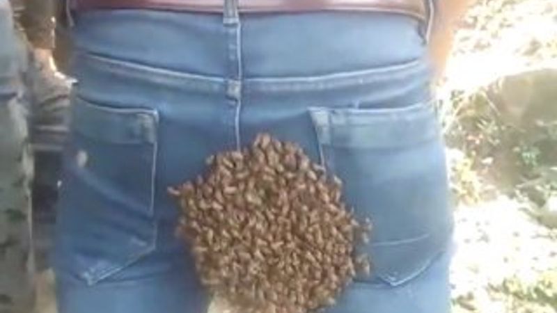 Arı sürüsü işçinin üzerine dadandı