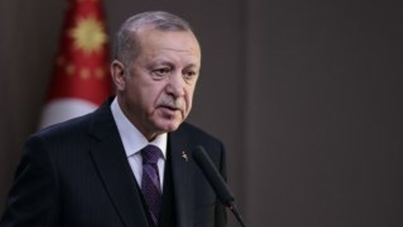 Cumhurbaşkanı Erdoğan'a termik santral vetosu soruldu