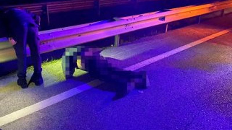 Yolun karşısına geçmeye çalışırken otomobil çarptı, öldü