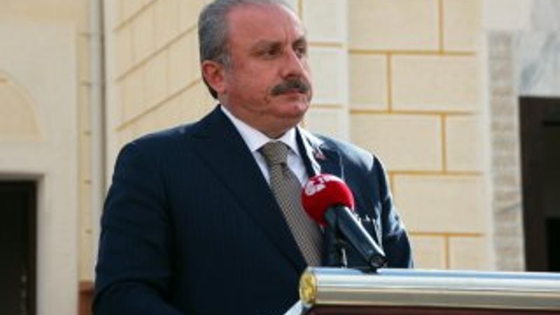 Mustafa Şentop, Ceren Özdemir cinayeti hakkında konuştu