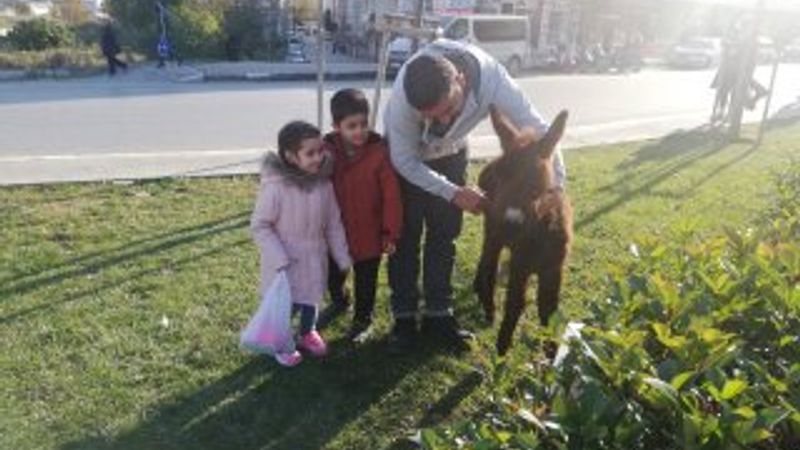 Eşek ve sıpayı gören vatandaşlar hatıra fotoğrafı çekildi