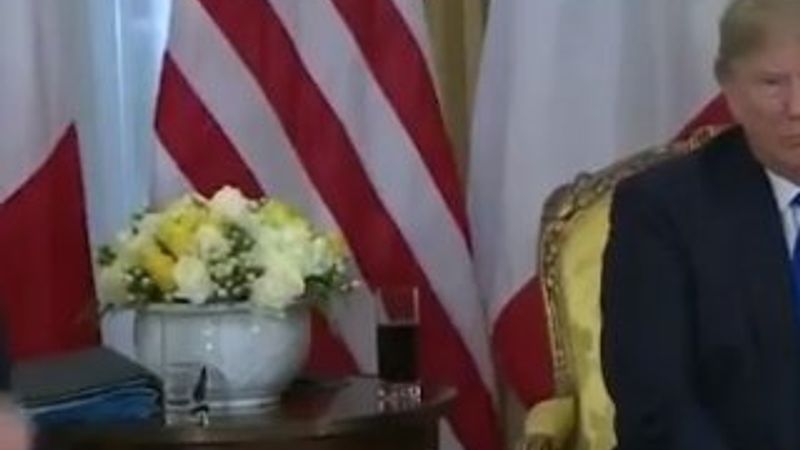 Dublajlı Trump ve Macron görüşmesi