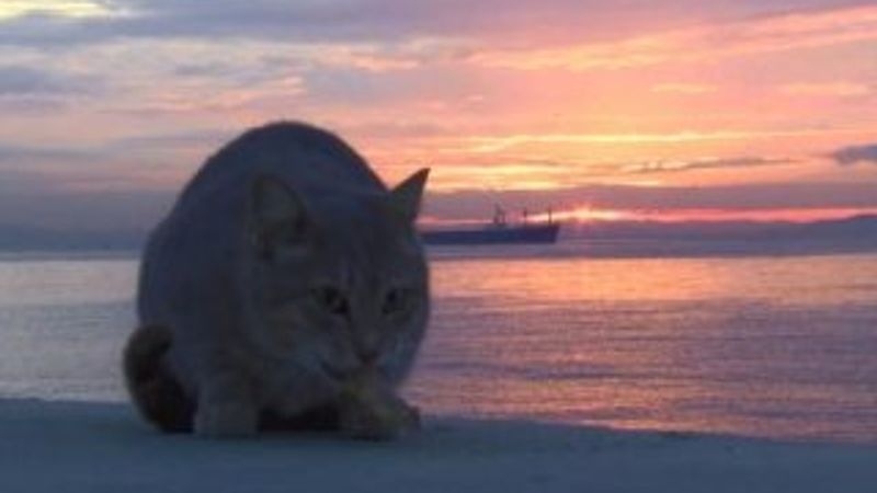 İstanbul'da güneşin doğuşuyla gelen renk cümbüşü