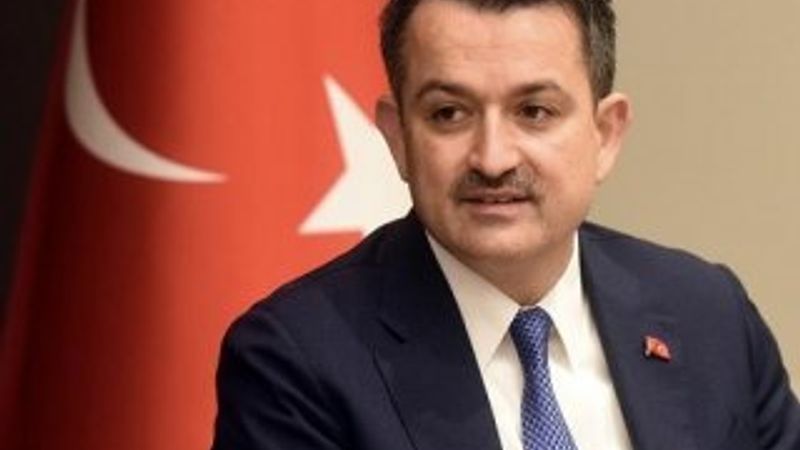 Bakan Pakdemirli, at-eşek eti ithalatına açıklık getirdi