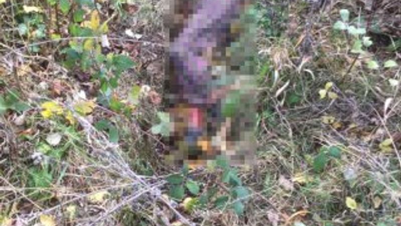 Bursa'da 29 gündür kayıp olan kadın ölü olarak bulundu