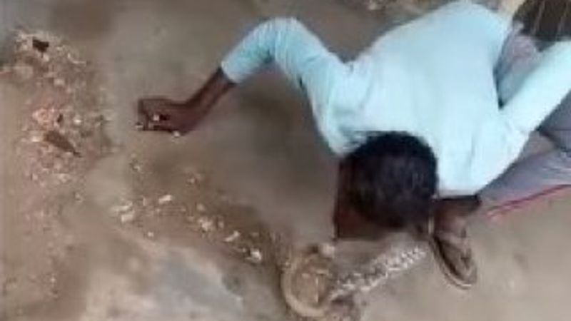 Hindistan'da kobra yılanını öpen adam