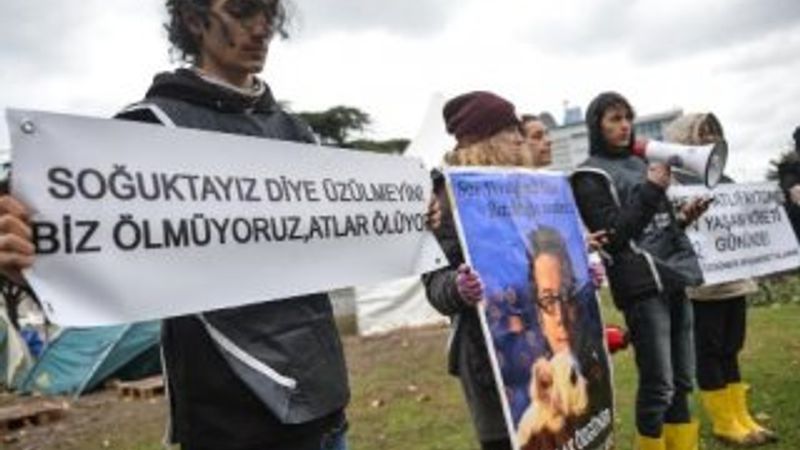 İBB önündeki fayton protestosu 12. gününe girdi