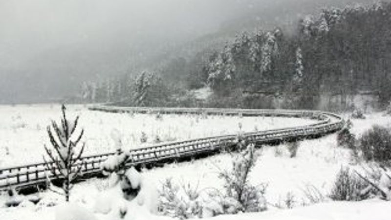 Abant'ta kar 50 santimetreye ulaştı