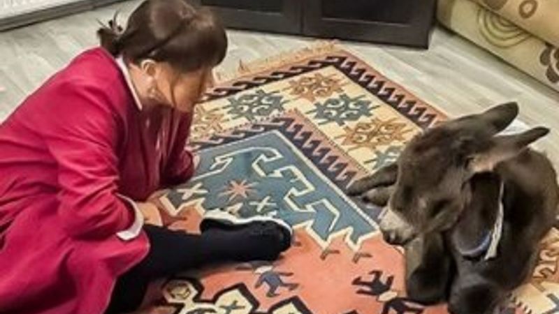 Sezen Aksu sıpasıyla poz verdi