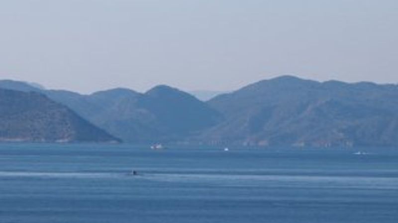 Fethiye'de göçmen botu battı: 8 ölü