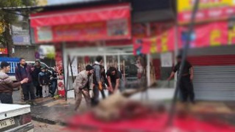 Sokak ortasında deve kesip ortalığı kana buladılar