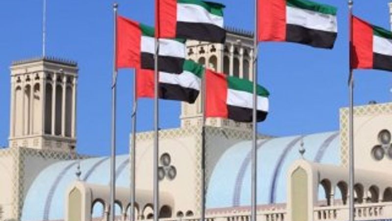 BAE Türkiye'nin Libya tezkeresini kınadı