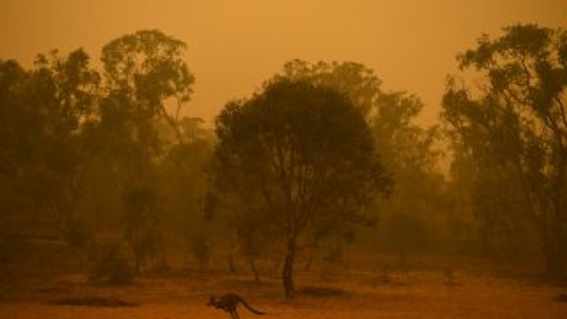 Avustralya'daki yangın devam ediyor
