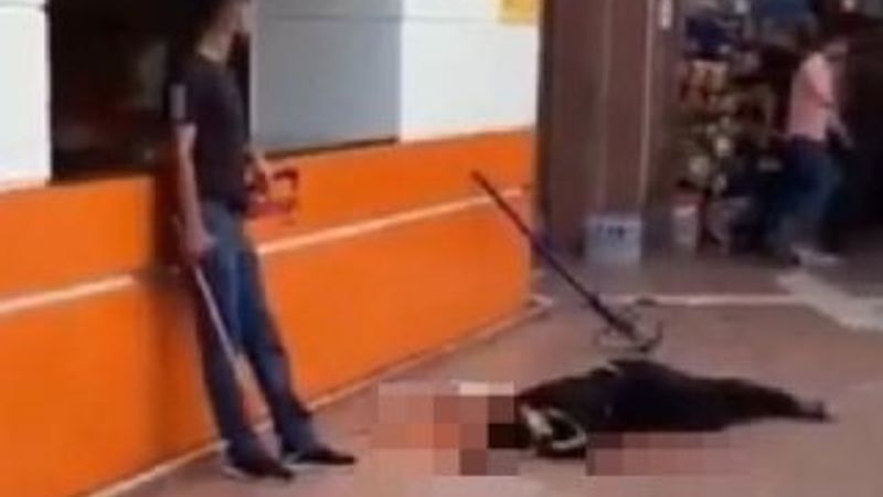 Batman Otogarı'ndaki kan davası cinayetini baba azmettirdi