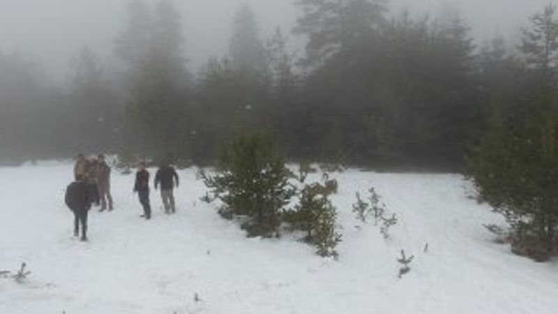 Sinop'ta yabani hayvanlar kara kışta unutulmadı