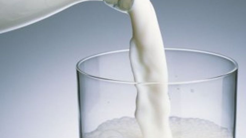 İBB, 'Halk Süt' projesi için 9 milyon litre süt alacak