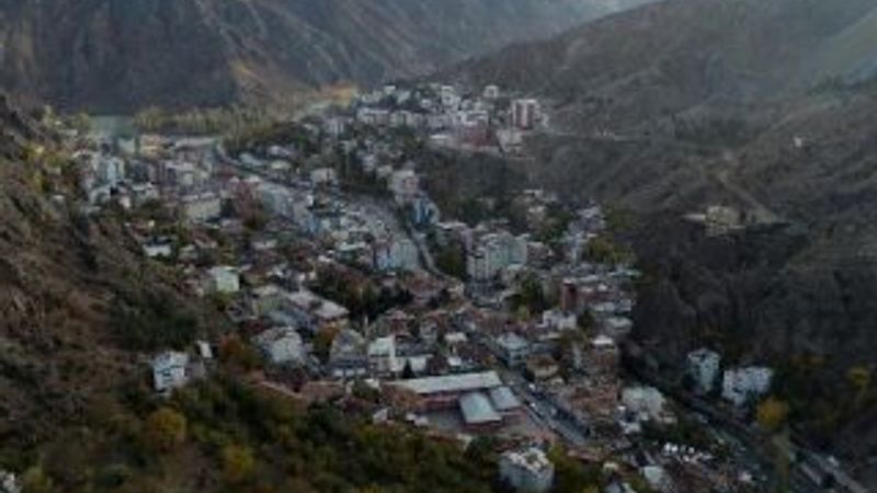 Sular altında kalacak Yusufeli'nden ağaçlar taşınıyor