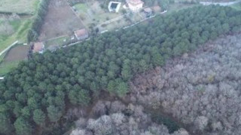 Kayıp iş adamının cesedi ormanda gömülü bulundu